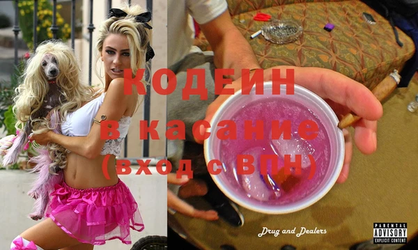 хмурый Инта