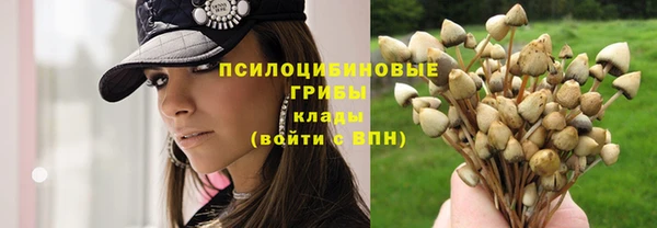 мдпв Каменногорск