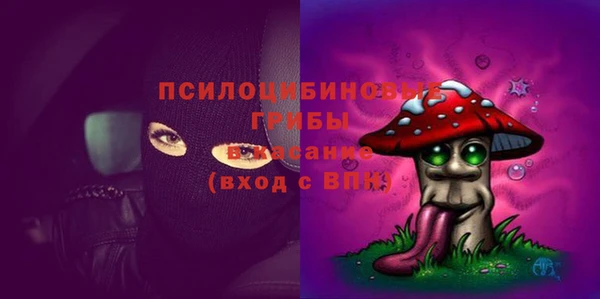 индика Верхнеуральск