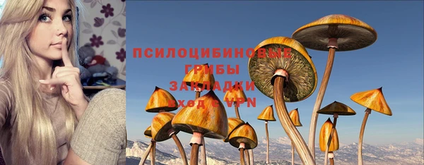 СК Тихорецк